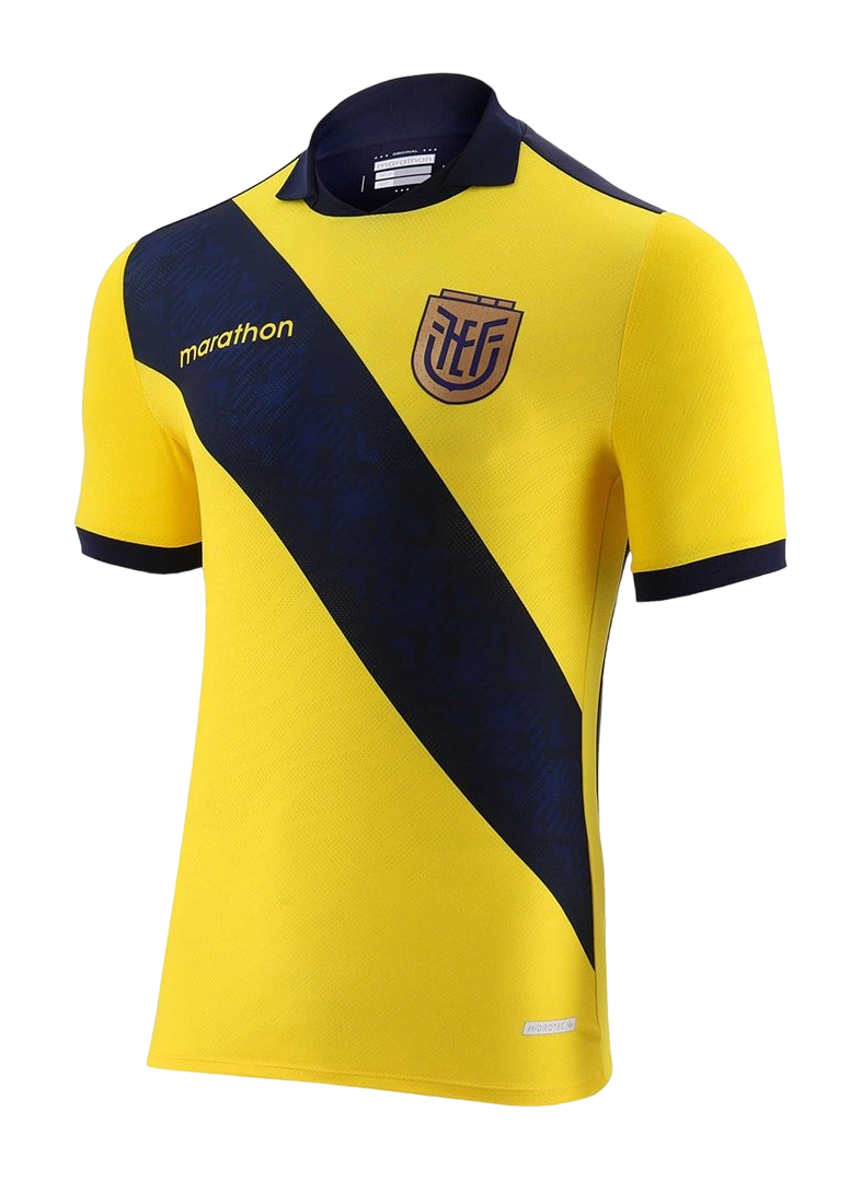 Ecuador Home Jersey Copa America 2024/25 Yellow & Blue Men's