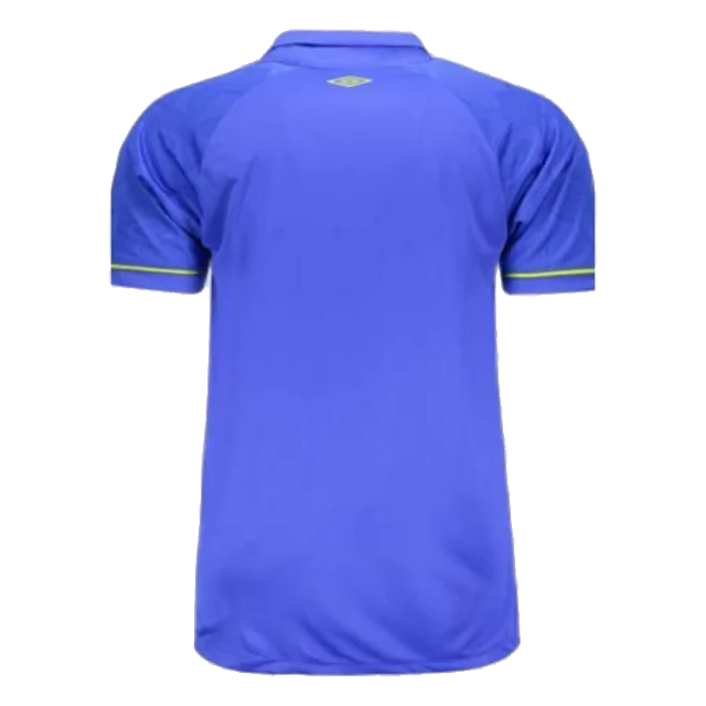 Fluminense Goalkeeper Jersey 2023/24 Blue Men's - The World Jerseys