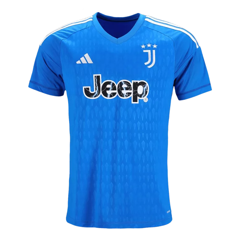 Juventus Goalkeeper Jersey 2023/24 Blue Men's - The World Jerseys