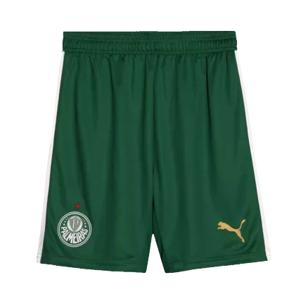 Palmeiras Away Shorts 2024/25 Green Men's